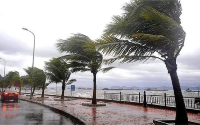 حالة الطقس اليوم.. الأرصاد تُحذر من أمطار ورياح تضرب تلك المناطق